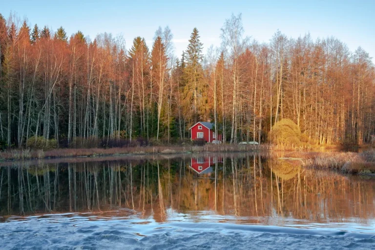 Op zoek naar onze Zweedse vakantiewoning: Blog 1 – Waar begint een zoektocht?