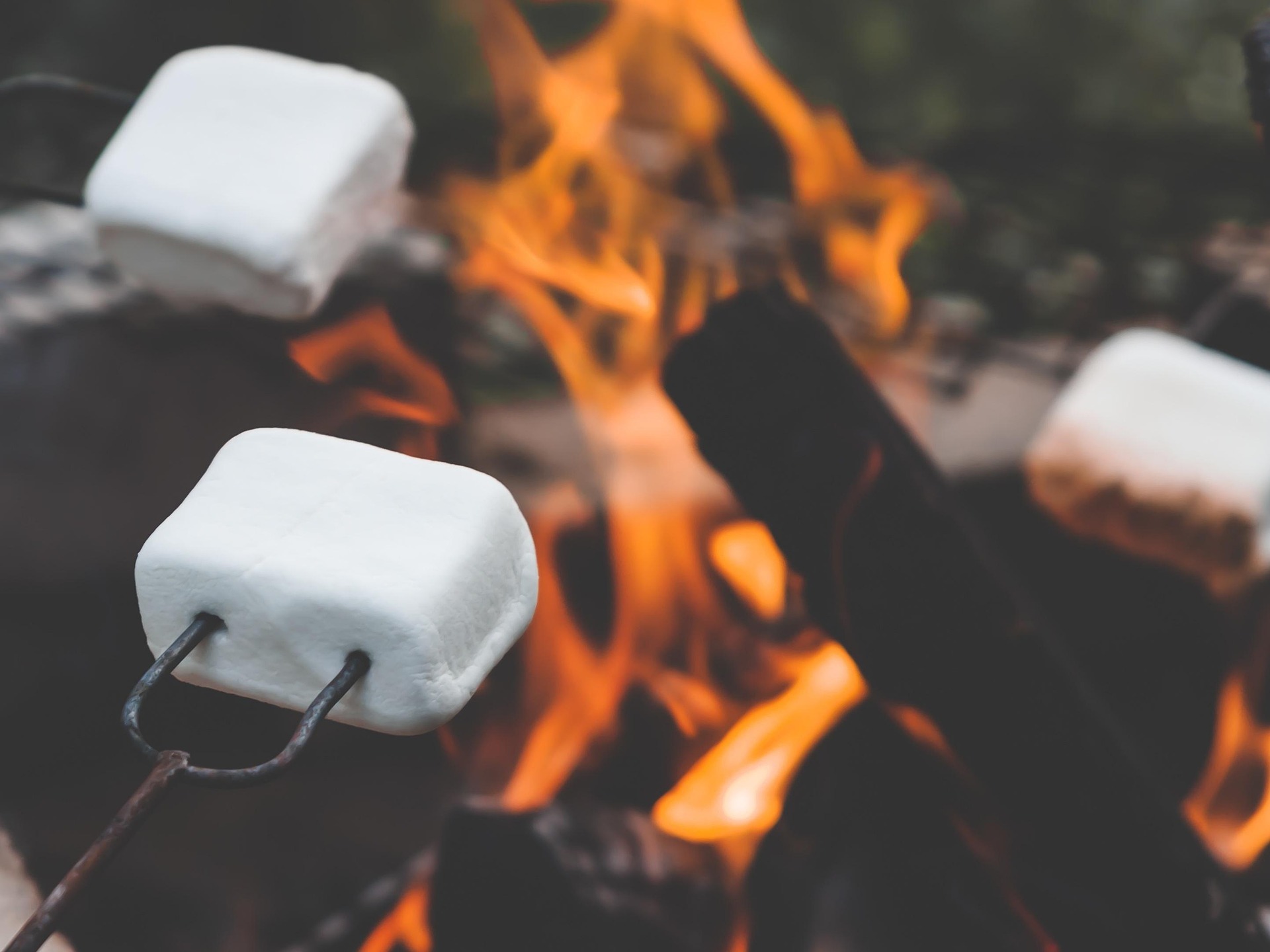 Vuurtje met marshmallows Branas