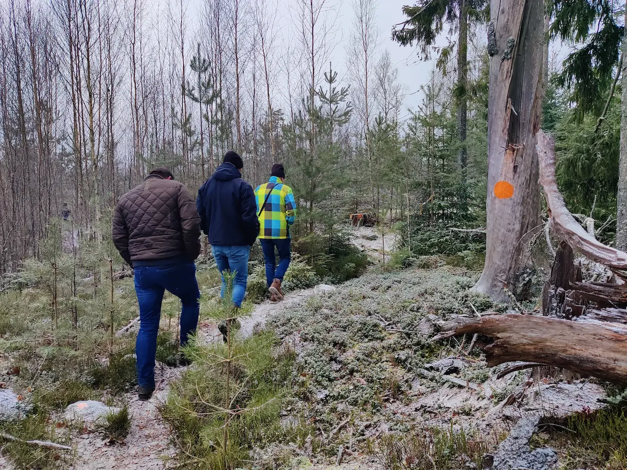 Wandelen door het bos met afwisselende begroeiing bij Vågsjön Munkfors.