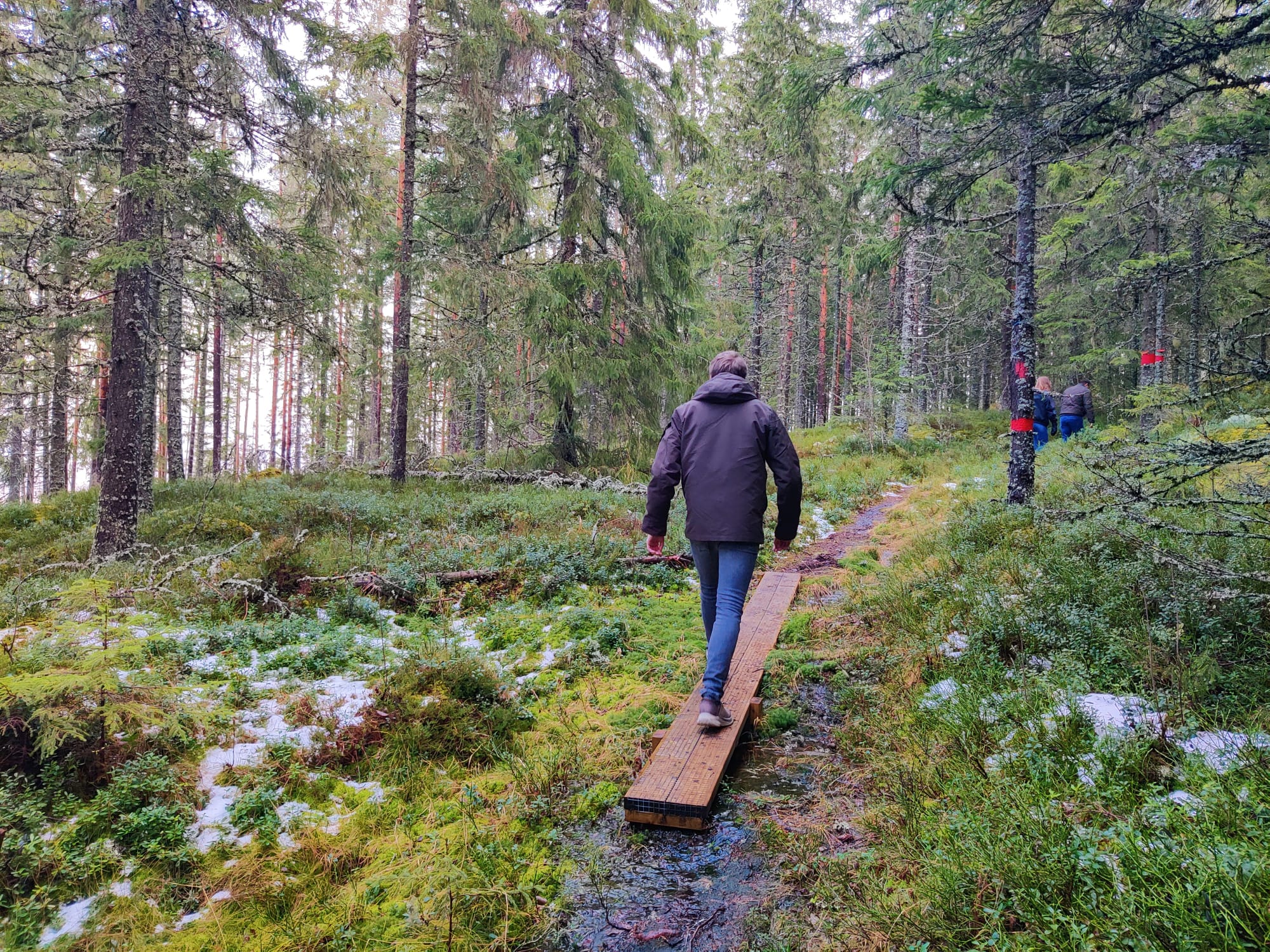 De route naar de top van de Värmullsåsen kronkelt langs kleine stroompjes en gladde houten vlonders, omgeven door besneeuwde natuur.
