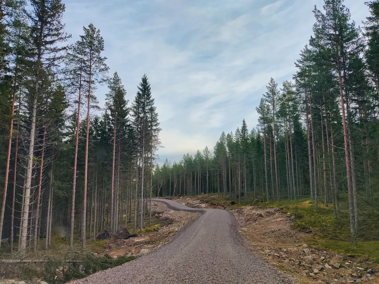 Een nieuw pad ontdekken in het besneeuwde bos tijdens oud en nieuw in Hus Björken.