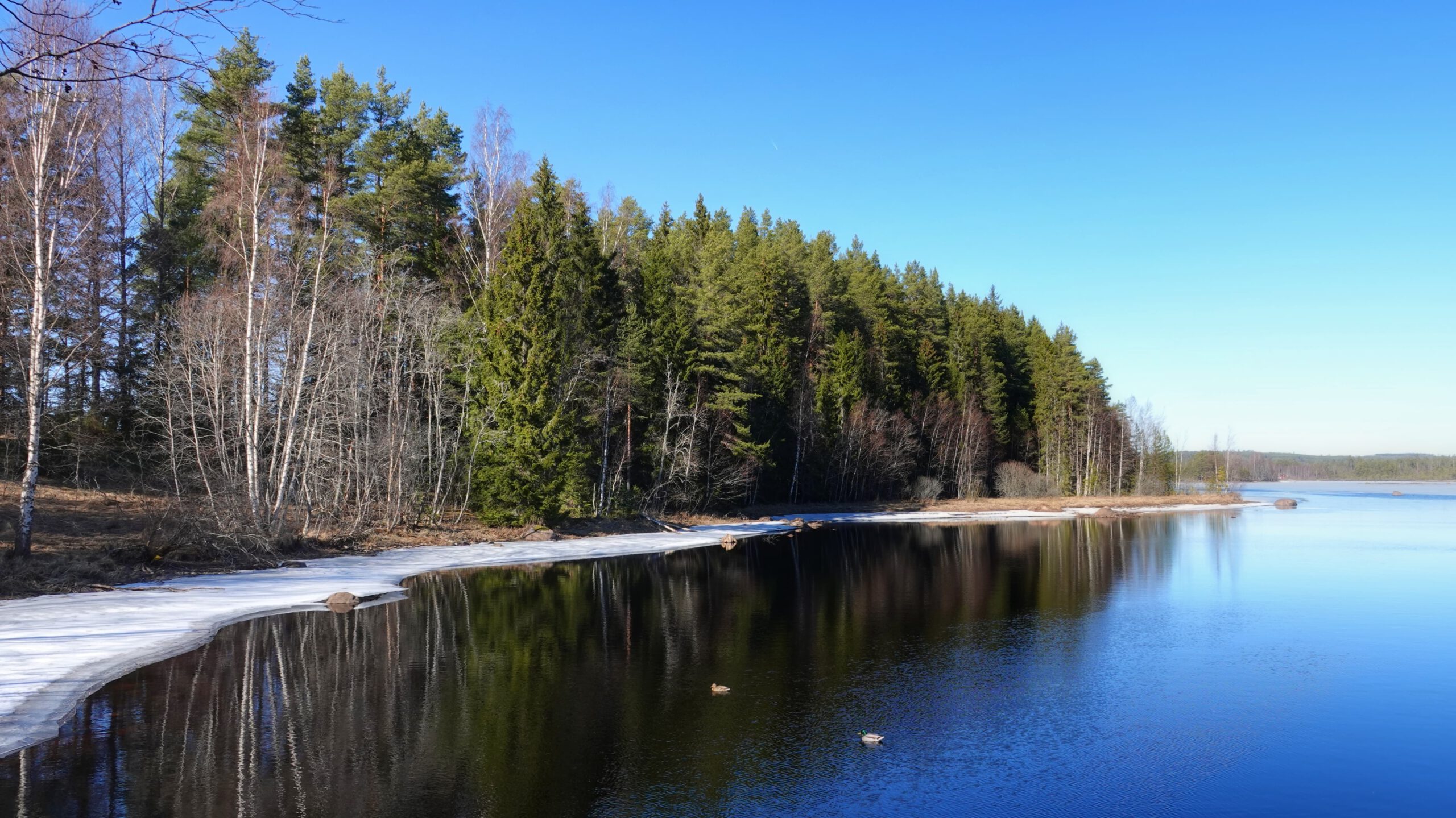 Weerspiegeling van bomen op open water naast bevroren delen van een meer in Värmland