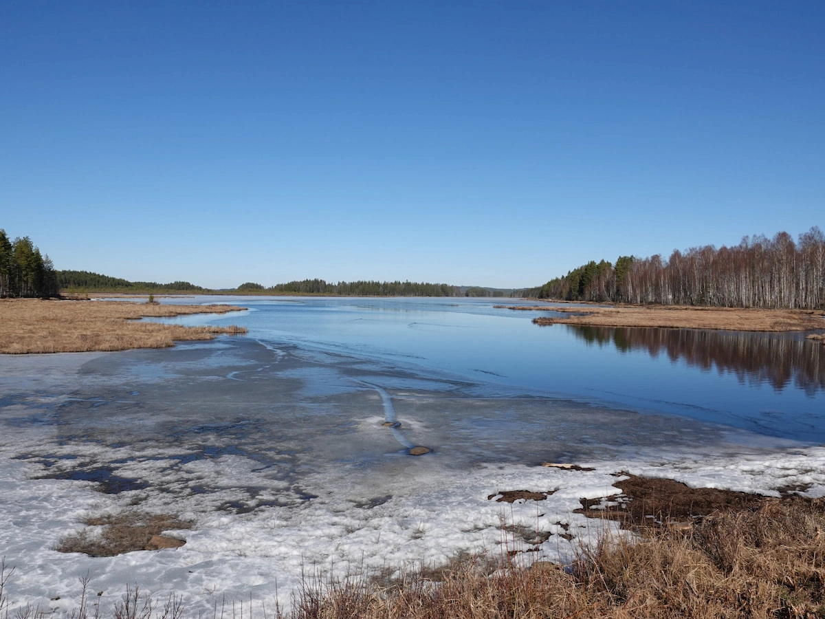 Weerspiegeling van bomen op open water naast bevroren delen van een meer in Värmland