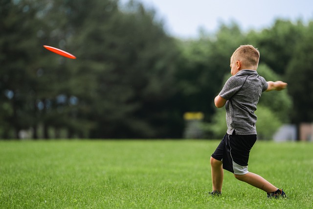 Disc golf in Hagfors: sportieve buitenactiviteit door bossen en open velden in Värmland.