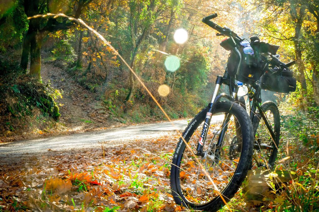Activiteiten Hagfors: fietsen door glooiende bossen en groene valleien van Värmland, vertrekkend bij Hus Björken