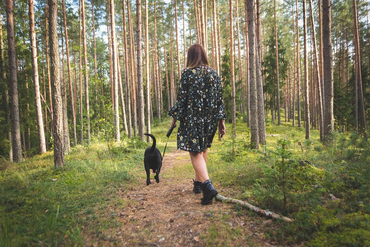 Vrouw wandelt met hond het bos in bij vakantiehuis Hus Björken in Hagfors