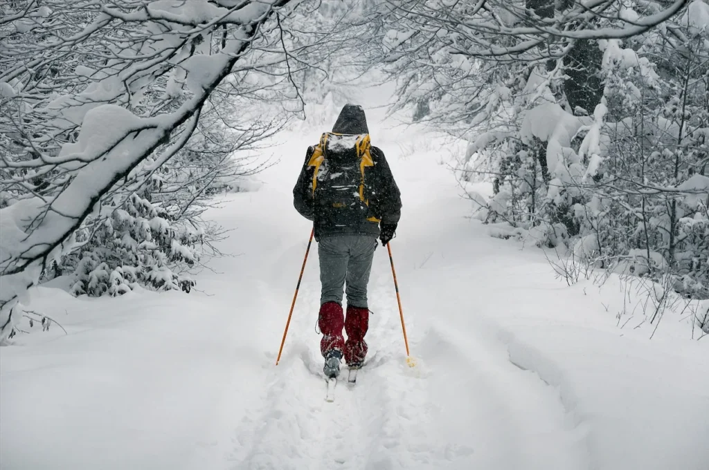 Een langlaufer op een geprepareerde loipe door de besneeuwde bossen van Hagfors in de winter.
